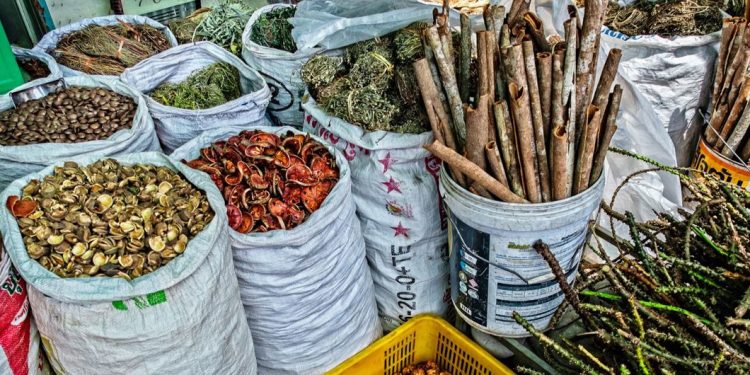 La medicina tradicional es ahora una realidad mundial