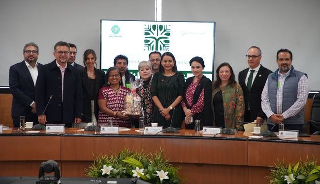 El Gobierno de México impulsa un ambientalismo basado en la justicia social y la participación ciudadana: Alicia Bárcena