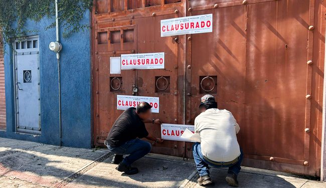 Profepa clausura predio con residuos peligrosos y cuatro obras irregulares en Áreas Naturales Protegidas de Morelos