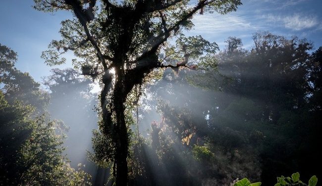 Semarnat, Conanp y Parks Canadá protegen, conservar y restaurar Áreas Naturales Protegidas