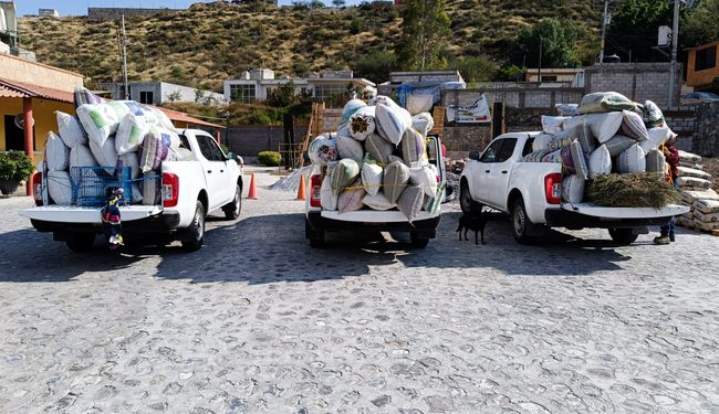 Por no acreditar su legal procedencia, Profepa asegura más de media tonelada de orégano en Querétaro