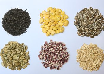 Indagan los “secretos que guardan” semillas para enfrentar sequías