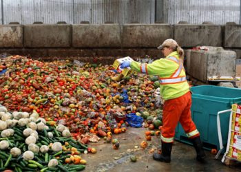 Desperdiciar la comida y tirar el dinero a la basura es lo mismo: Fernando González Martínez