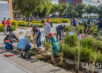 Con jardines polinizadores, impulsan acciones en materia medioambiental
