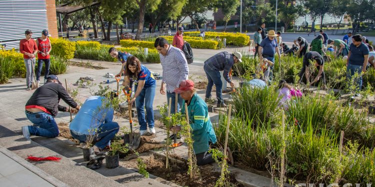 Con jardines polinizadores, impulsan acciones en materia medioambiental