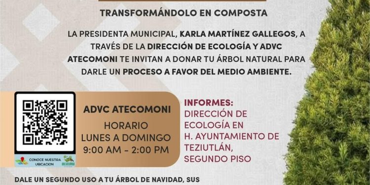 Gobierno de Pepe Chedraui realiza acciones de limpieza en Villa Verde