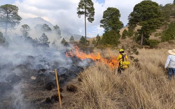 Eficacia de instituciones estatales y federales en combate a incendios forestales