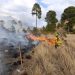 Eficacia de instituciones estatales y federales en combate a incendios forestales