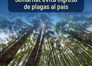 Laboratorio forestal de Semarnat evita ingreso de plagas al país