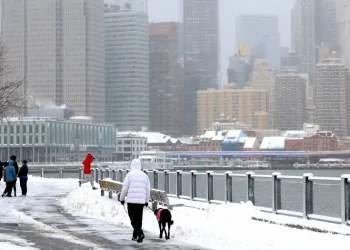 Nueva York declara el estado de emergencia por megatormenta