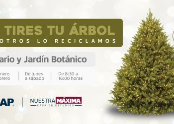 Colecta BUAP árboles de Navidad para elaboración de composta
