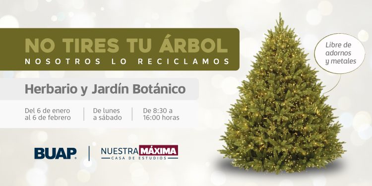 Colecta BUAP árboles de Navidad para elaboración de composta