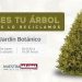 Colecta BUAP árboles de Navidad para elaboración de composta
