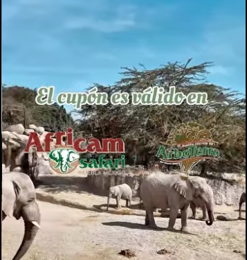 Continúa la campaña  verde navidad