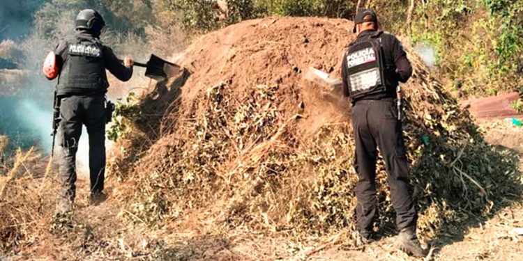 Elimina Policía Forestal seis hornos clandestinos para procesar madera