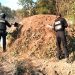 Elimina Policía Forestal seis hornos clandestinos para procesar madera