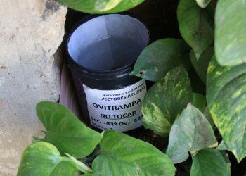 Puebla reduce 91 por ciento los casos de dengue durante 2025