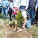 Puebla capital refuerza su compromiso ambiental: meta de plantar 100 mil árboles para 2026