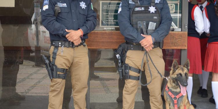 Destaca Gobierno de Pepe Chedraui intervenciones exitosas de la Unidad Canina de la SSC