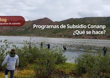 Programas de Subsidio Conanp, ¿qué se hace?