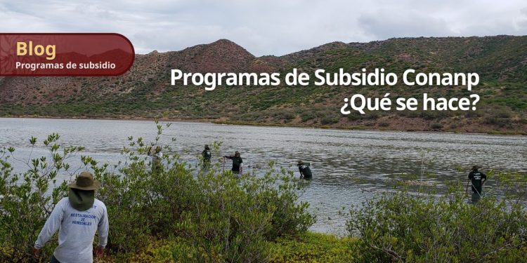 Programas de Subsidio Conanp, ¿qué se hace?