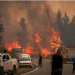 Los incendios en la Patagonia son un ‘ecocidio’ que dejarán huellas por décadas, alertan ambientalistas