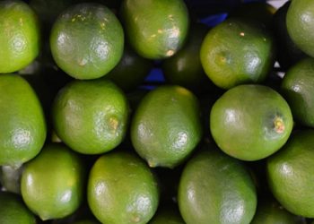 Investigación de Ingeniería en Alimentos IBERO Busca Frenar el Desperdicio de Limón