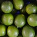 Investigación de Ingeniería en Alimentos IBERO Busca Frenar el Desperdicio de Limón