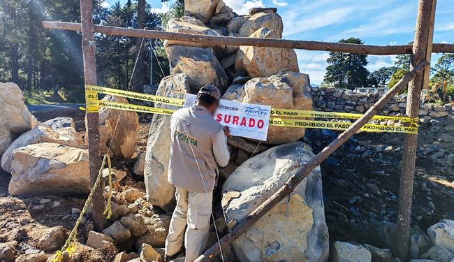 Por obras ilegales, Profepa clausura predio y asegura maquinaria en área protegida en Valle de Bravo