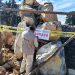 Por obras ilegales, Profepa clausura predio y asegura maquinaria en área protegida en Valle de Bravo