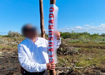 Clausura Profepa actividades ilegales de desmonte y lotificación en zona de manglares, en Chelem