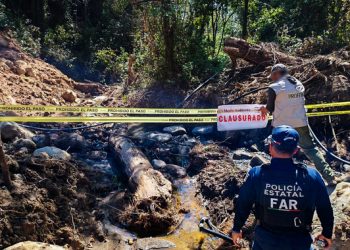 Profepa impone clausura y asegura maquinaria por obras sin autorización ambiental