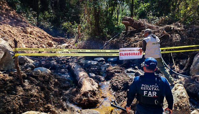 Profepa impone clausura y asegura maquinaria por obras sin autorización ambiental