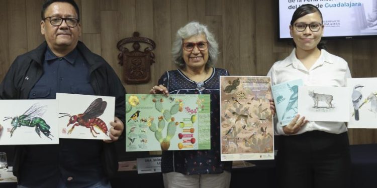 Acercan labor de especies polinizadoras por medio de la ilustración científica
