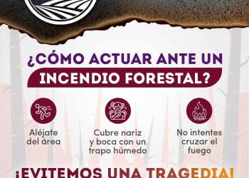 ¿Cómo actuar ante un incendio forestal?