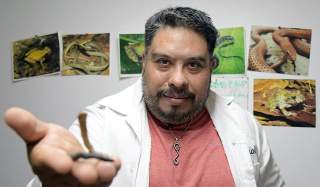 Investigador BUAP descubre una nueva especie de serpiente endémica de Puebla