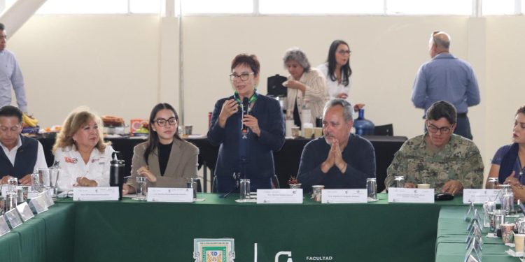 Priorizar la conservación efectiva de la vaquita marina