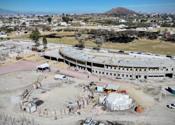 Con enfoque humanista, Célula de Bienestar Animal registra avance del 38 por ciento