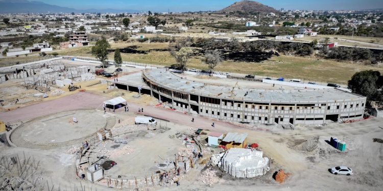 Con enfoque humanista, Célula de Bienestar Animal registra avance del 38 por ciento