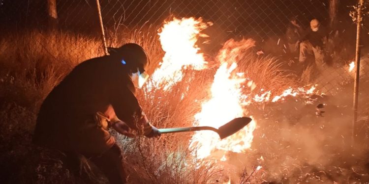 Gobierno de Puebla ha liquidado 88 incendios forestales