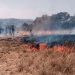 Coordinación interinstitucional fortalece combate a incendios forestales