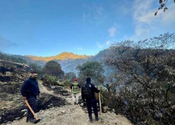 Policía Estatal Forestal controla incendios en Libres y San Pedro Cholula