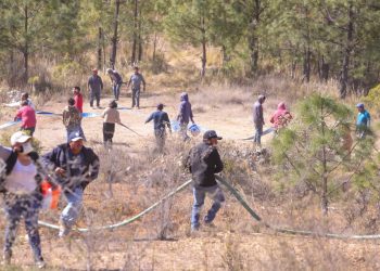 Controlado el incendio en Vicente Guerrero, está liquidado al 90 por ciento: Protección Civil