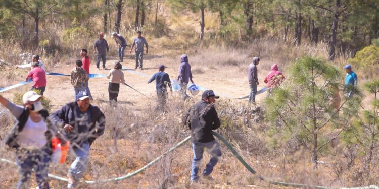 Controlado el incendio en Vicente Guerrero, está liquidado al 90 por ciento: Protección Civil