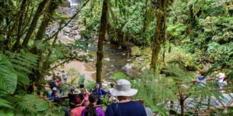 Ocho lugares para hacer ecoturismo en México