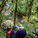 Ocho lugares para hacer ecoturismo en México