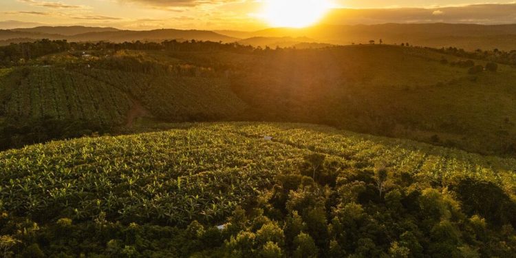 Bienvenidos al agrovecindario, ¿un modelo urbano del futuro?