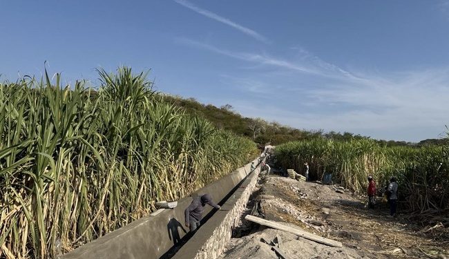 Conagua tecnifica 2,300 hectáreas en Morelos para ahorro de agua