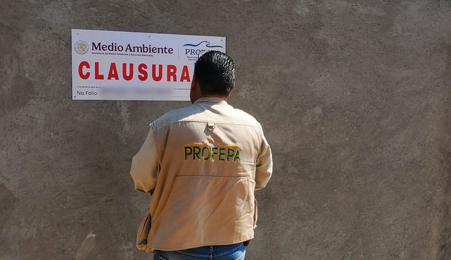Clausura Profepa obra irregular en zona de Bosque de Agua en Morelos