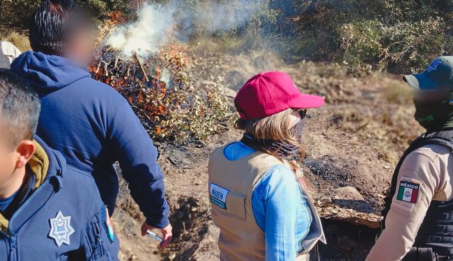 Profepa inhabilitan hornos de carbón vegetal en inmediaciones en La Malinche, Tlaxcala